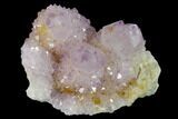 Cactus Quartz (Amethyst) Crystal Cluster - South Africa #137770-1